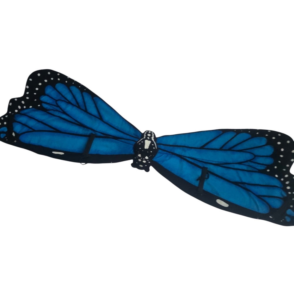 Blue Butterfly Wings Kids Costume Accessory